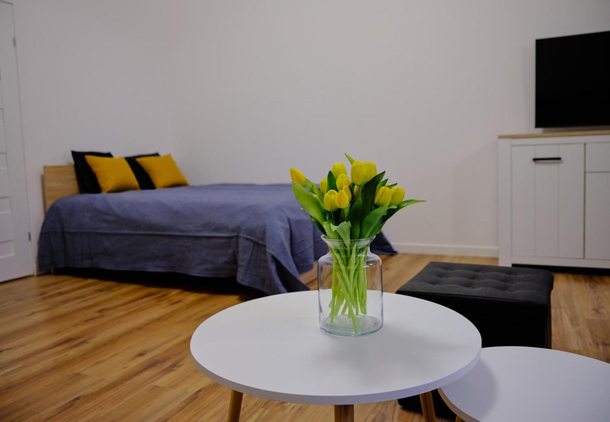 Urania Apartamenty Kowary Room photo
